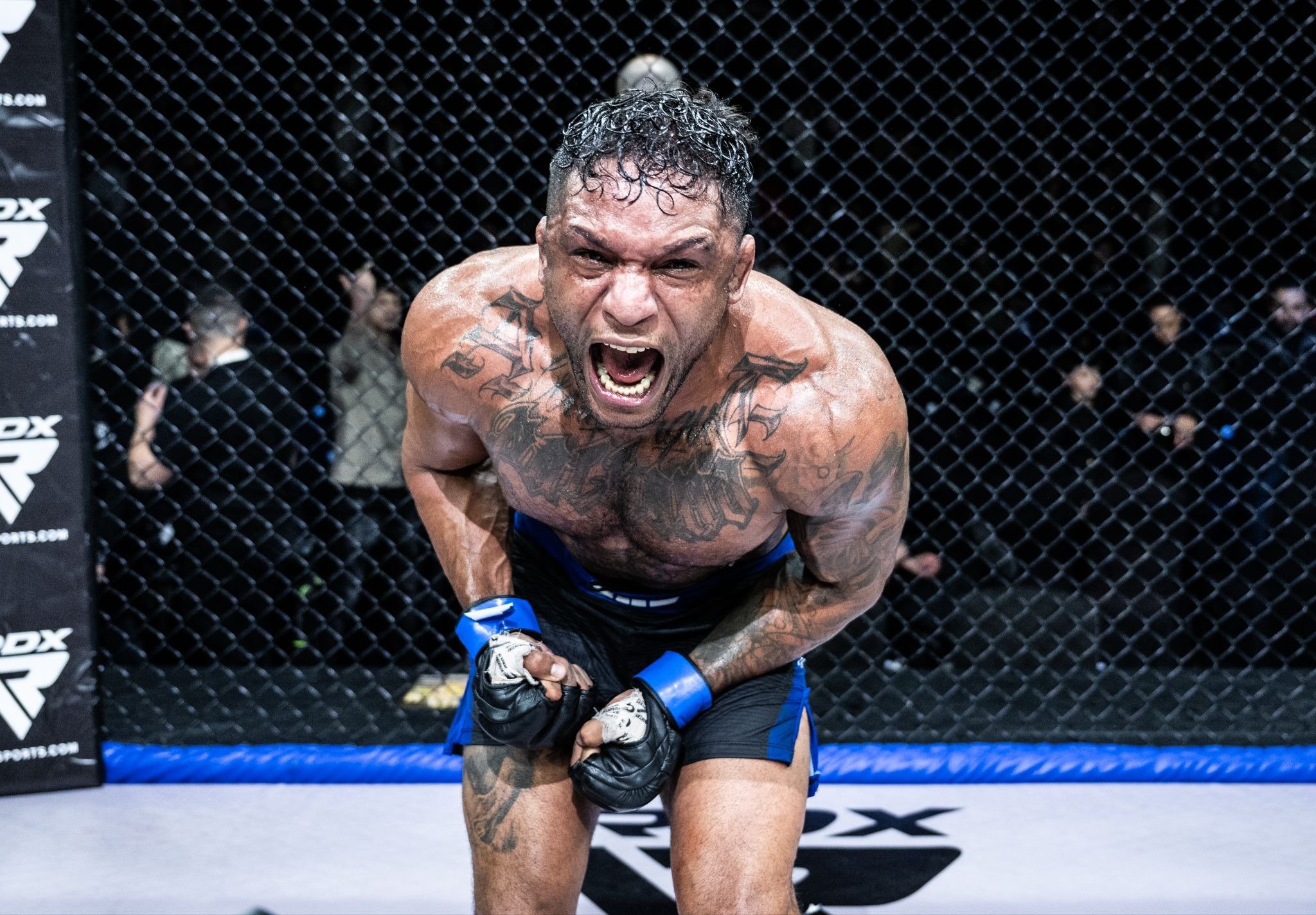 Five Best Performances At BRAVE CF 104 That Lit Up Serbia